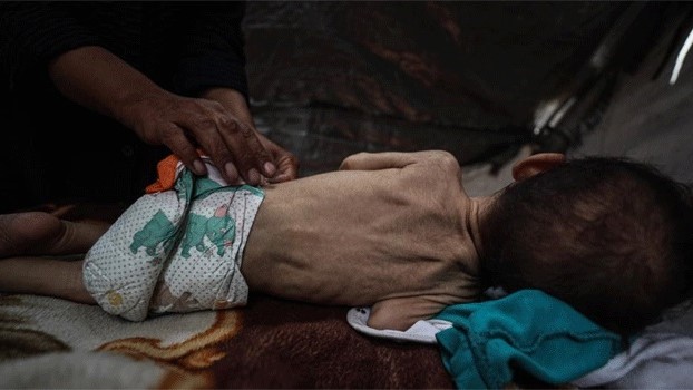 2025/July 2025/পশুখাদ্য দিয়ে সন্তানদের পেট ভরাচ্ছেন গাজার অসহায় মায়েরা.jpg